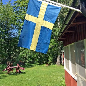 Swedish_flag