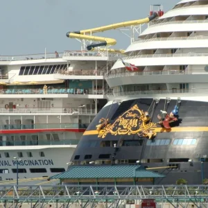 Sterns of the Disney Dream & Fascination