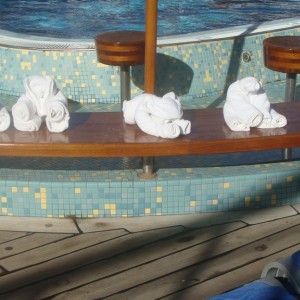 Towel Animals