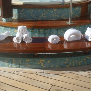 Towel Animals