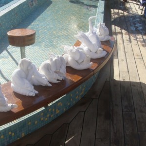 Towel Animals