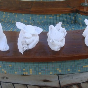 Towel Animals