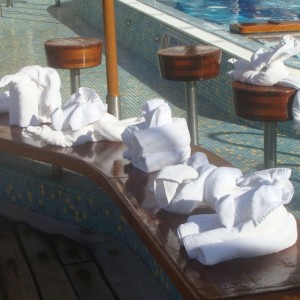 Towel Animals