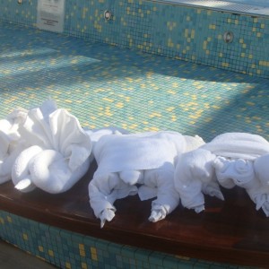 Towel Animals