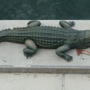 Fake Gator