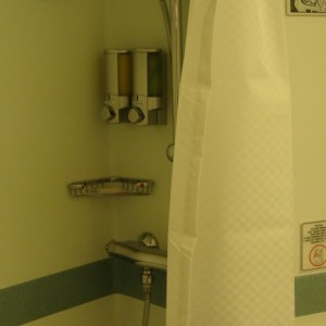 Cabin 8262 - shower