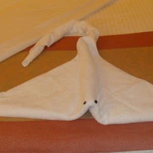 Our final towel animal