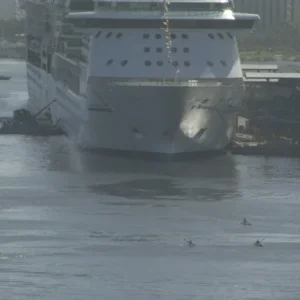 Serenade of the Seas and Celebrity Summit