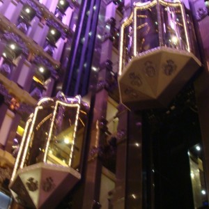 Atrium elevators