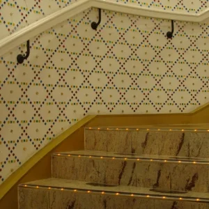 Taj Mahal Show Lounge - stairway