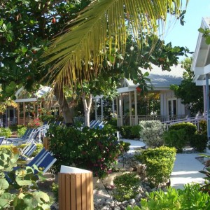 View of the cabanas