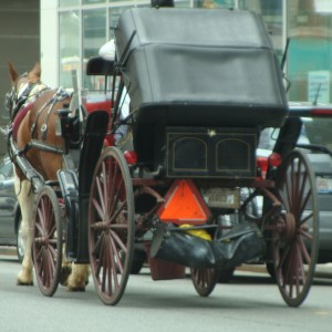 Horse & Buggy