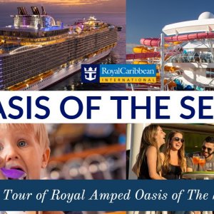 Experience the Royal Amped Oasis of the Seas