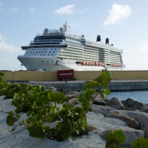 Royal Caribbean Refection