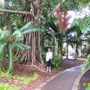 Noumea garden2.jpg