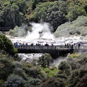 Rotorua4.jpg