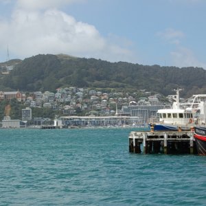 B0215wellington.jpg