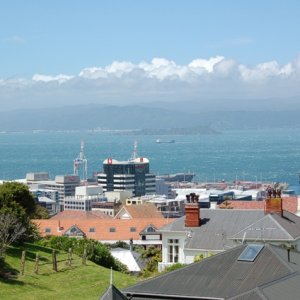 B0236wellington.jpg