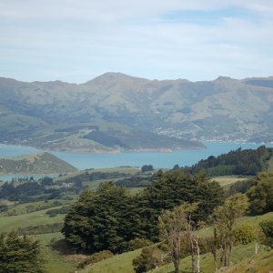 to akaroa2.jpg