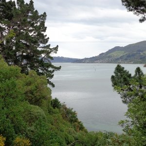 port chalmers2.jpg