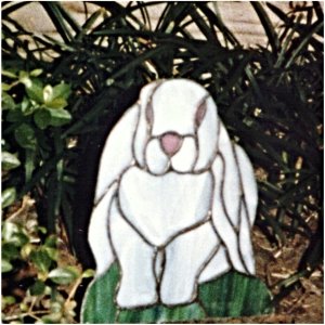 Garden rabbit closeup