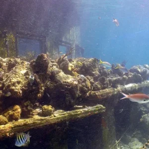 St.Thomas - Helmet Dive