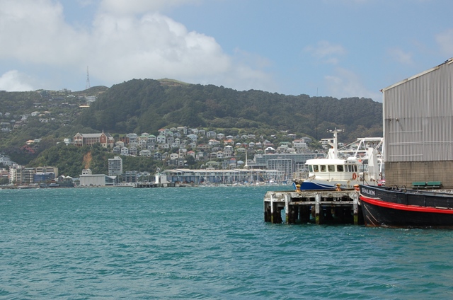 B0215wellington.jpg