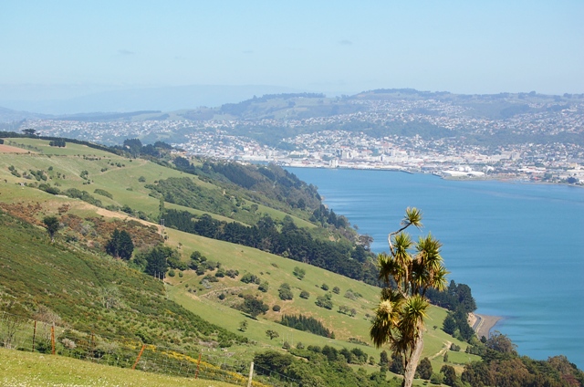 B0429dunedin.jpg