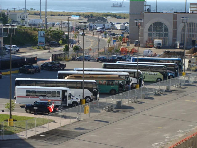Excursion Buses ready to go
