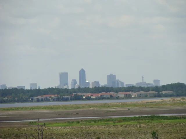 Jacksonville in the Distance