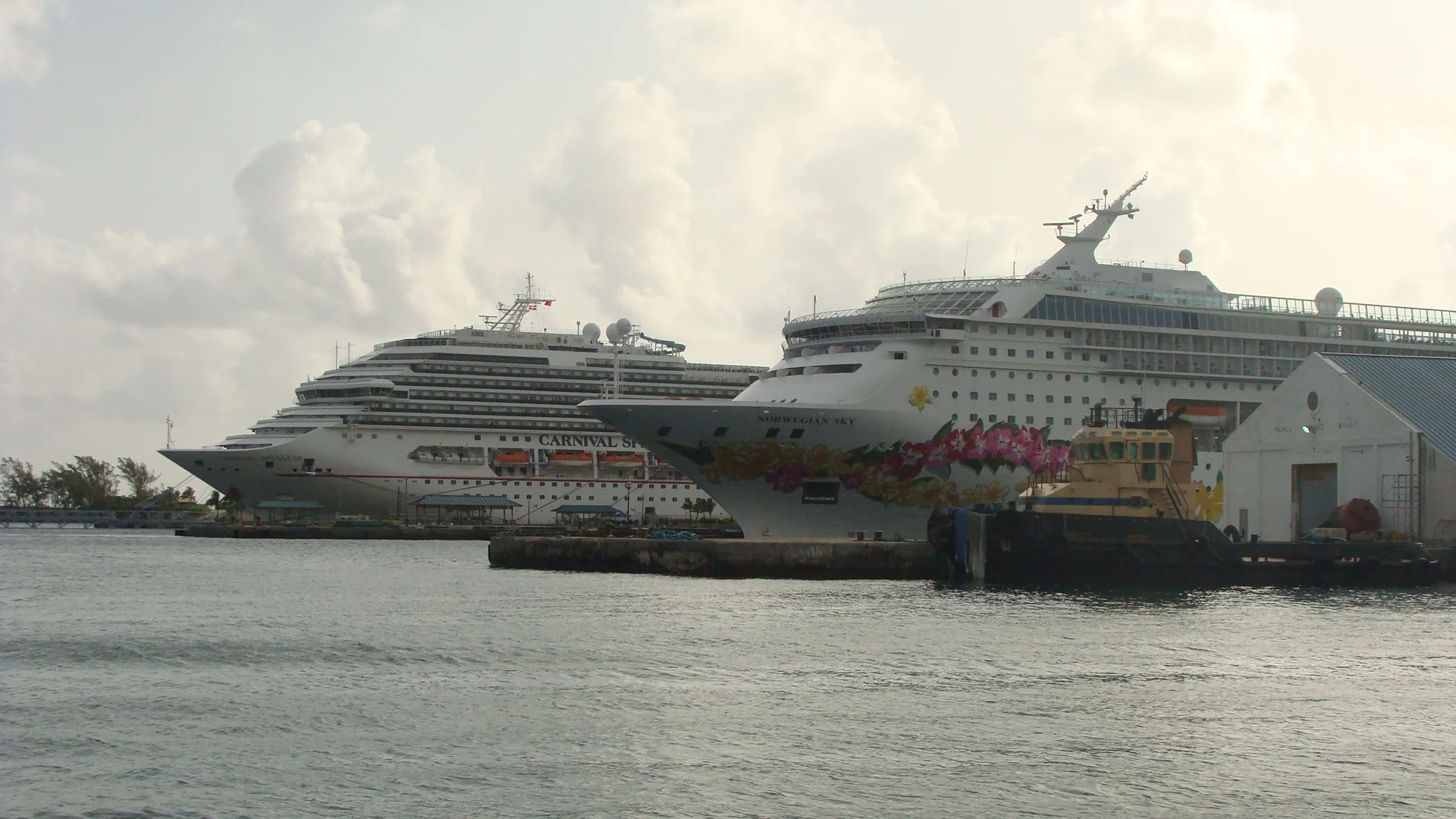 NCL Sky & Carnival Splendor