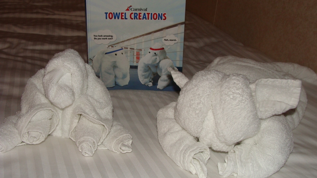 Ryan's Towel Animals