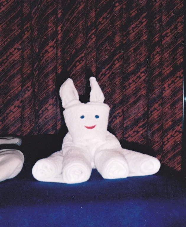 Tonights Towel Animal