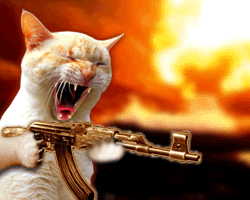 image0011.gif