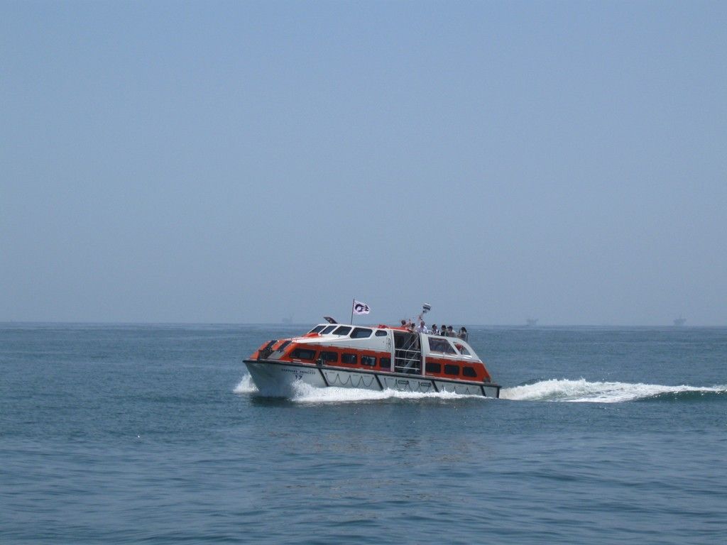 xIMG_2220.jpg