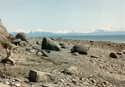 Homer+Beach-01.jpg