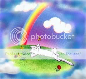 rainbowcat2.jpg